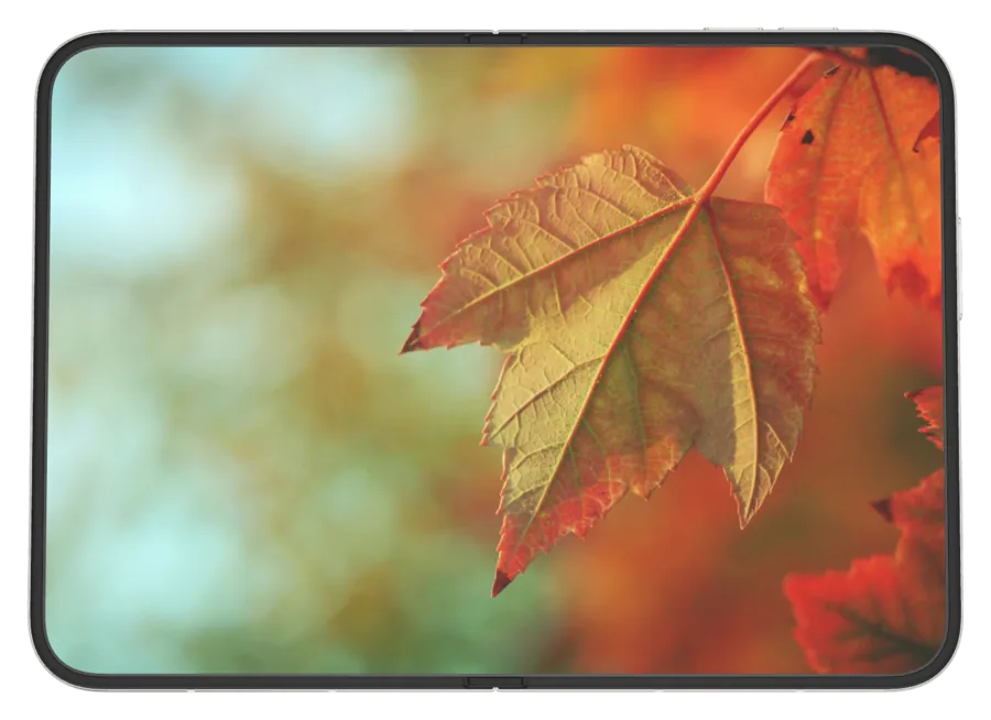 Light Autumn 5 shown on iPhone Duo
