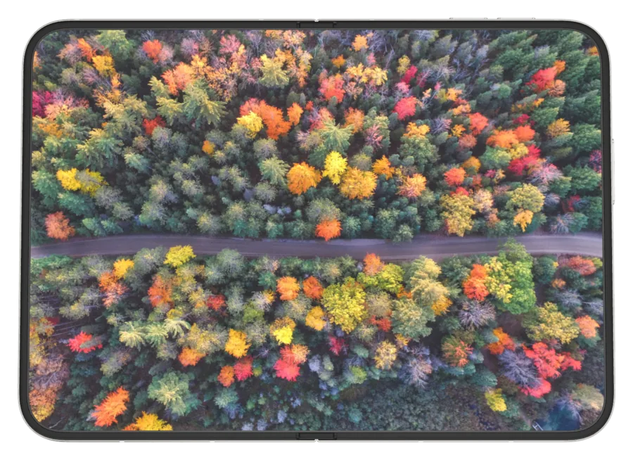 Light Autumn 6 shown on iPhone Duo