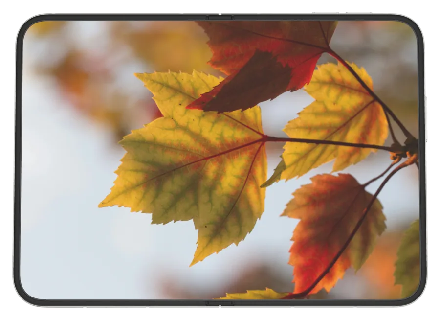 Light Autumn 7 shown on iPhone Duo