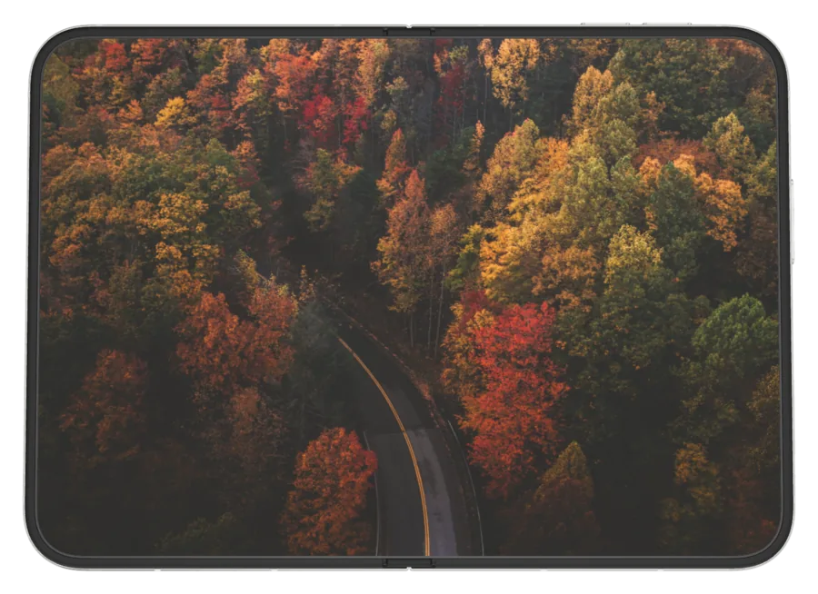 Dark Autumn shown on iPhone Duo