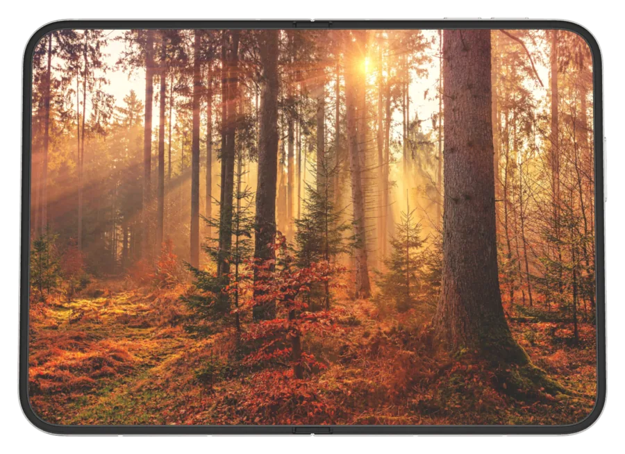 Light Autumn 9 shown on iPhone Duo