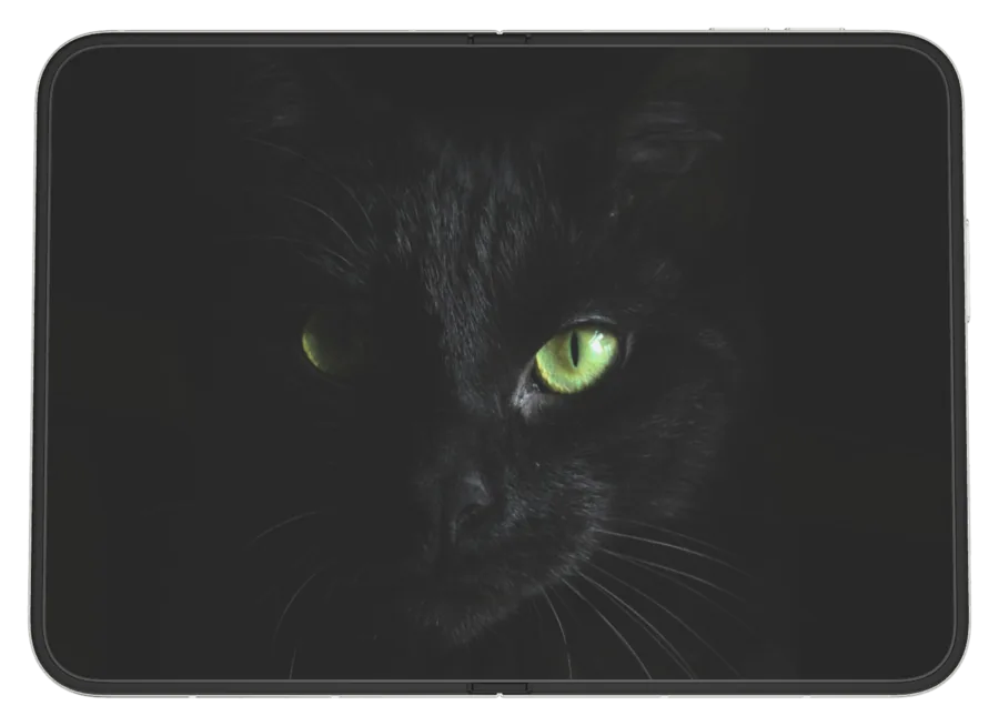 Dark Dark 8 shown on iPhone Duo