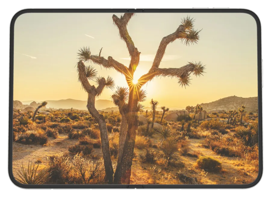 Light Desert 5 shown on iPhone Duo