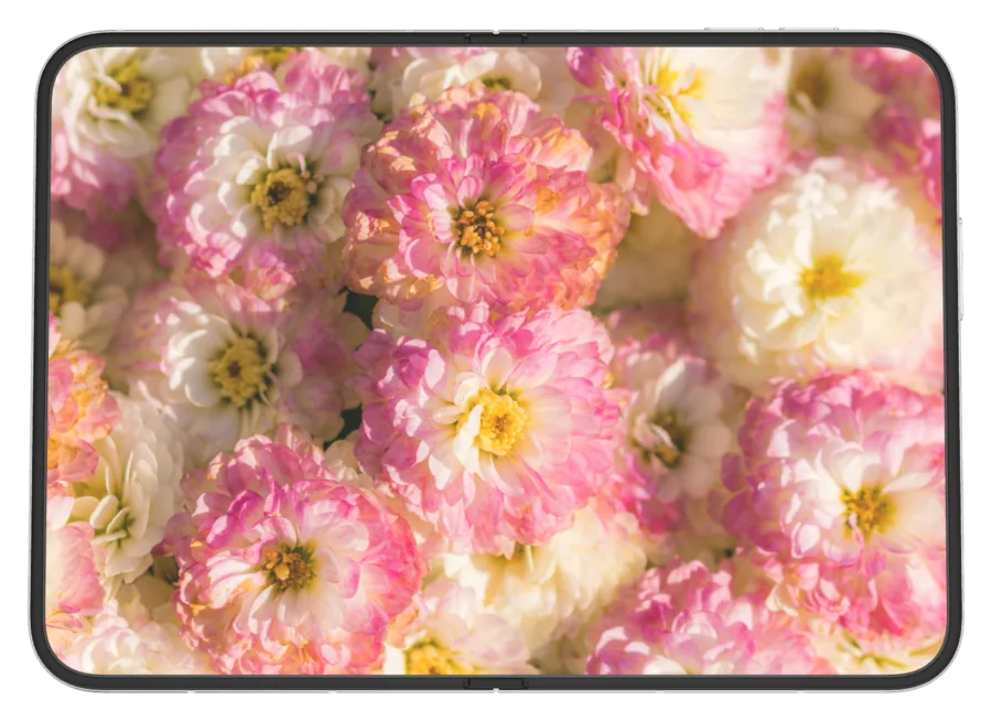 Light Flowers 5 shown on iPhone Duo