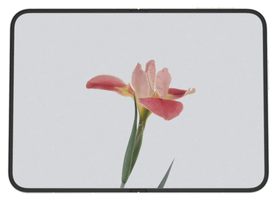 Light Flowers 7 shown on iPhone Duo