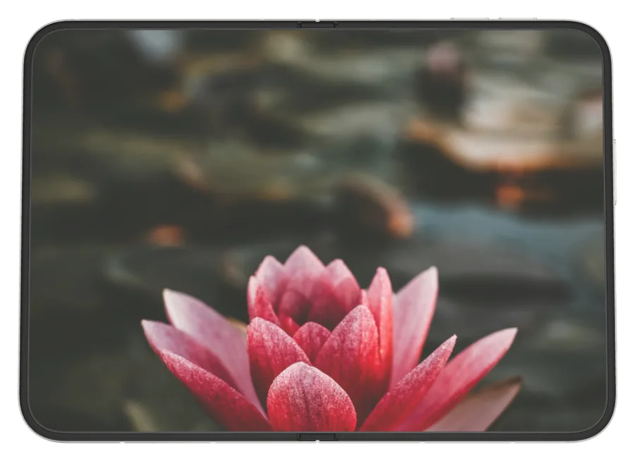 Dark Flowers shown on iPhone Duo