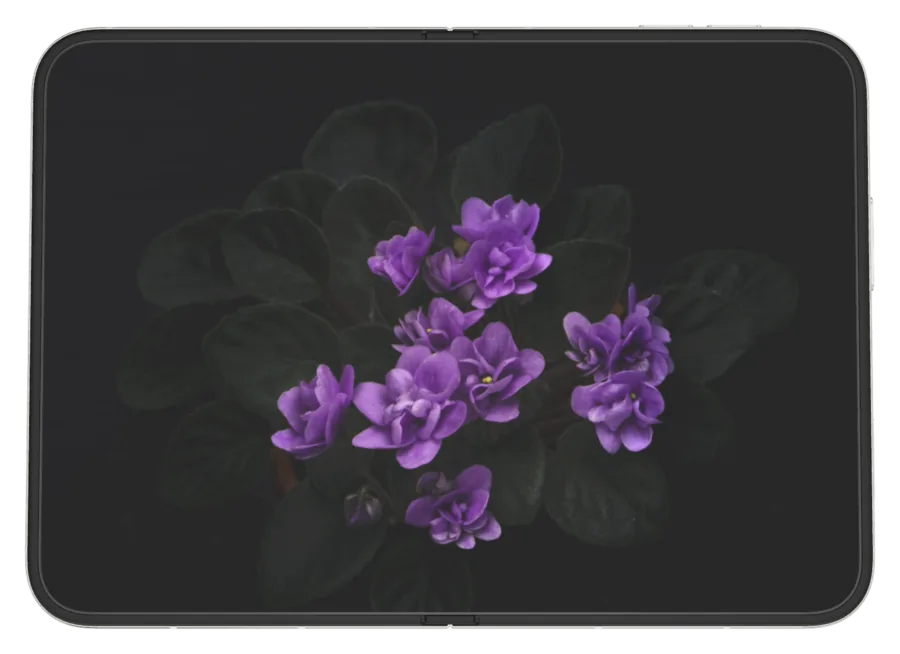 Dark Flowers 2 shown on iPhone Duo