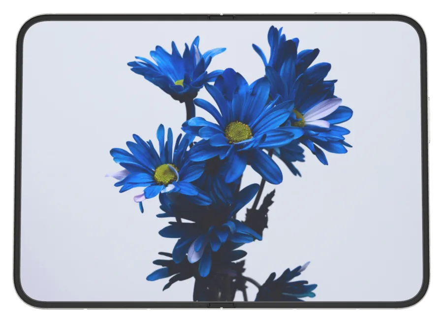 Light Flowers 12 shown on iPhone Duo