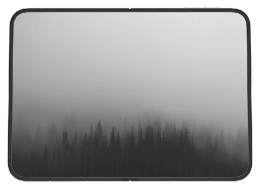 Light Fog shown on iPhone Duo