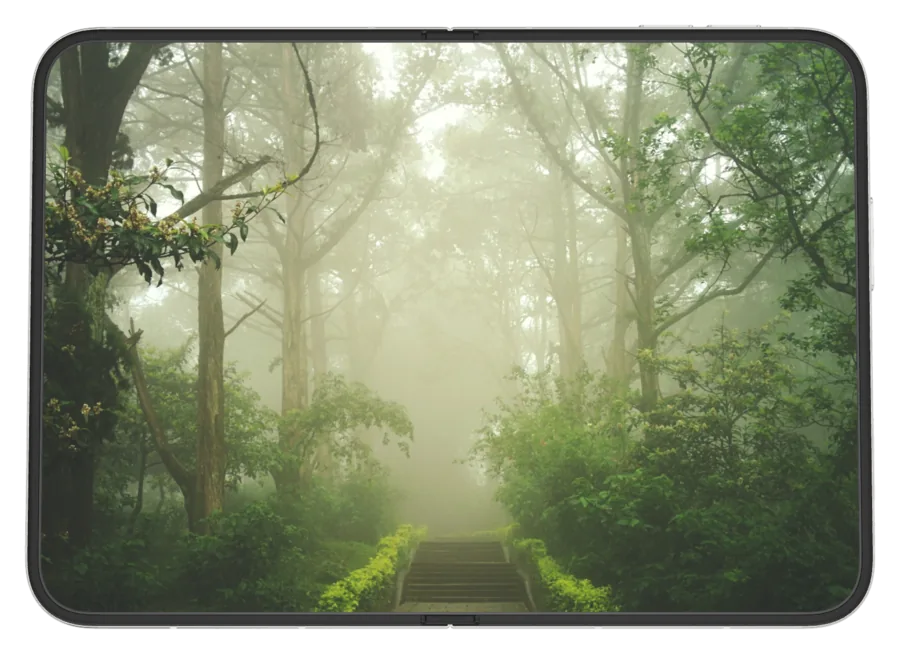Light Fog 8 shown on iPhone Duo