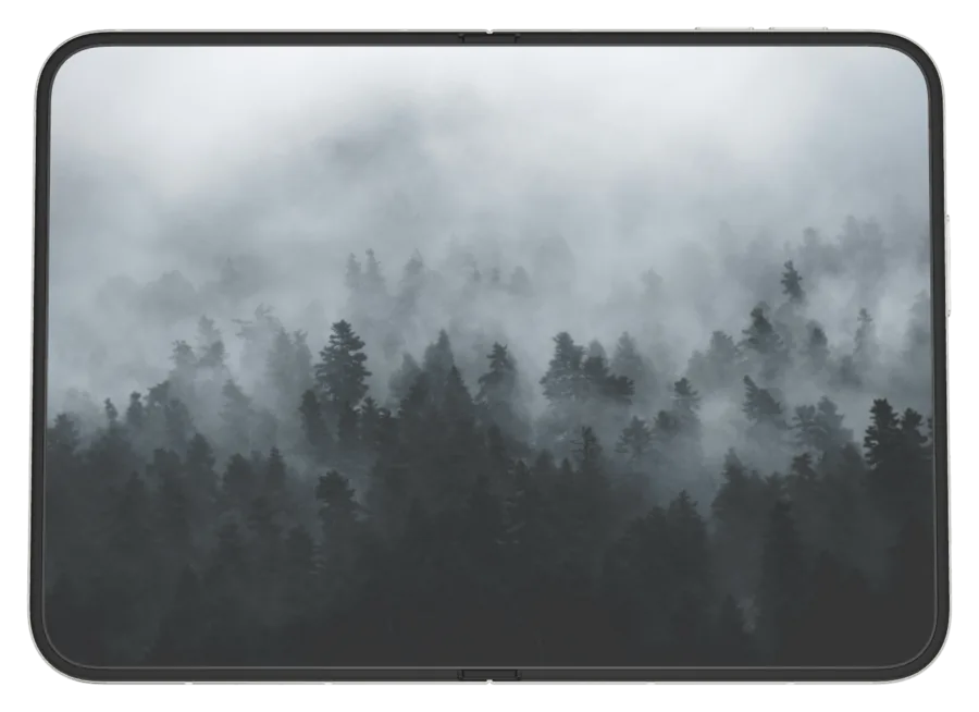 Light Fog 10 shown on iPhone Duo