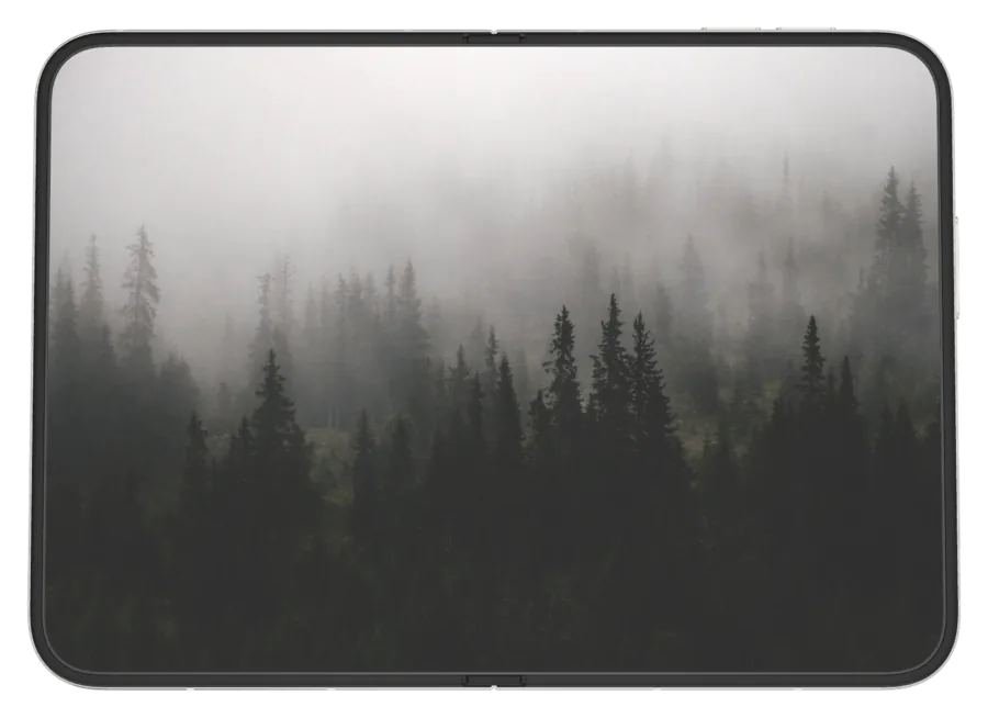 Light Fog 11 shown on iPhone Duo
