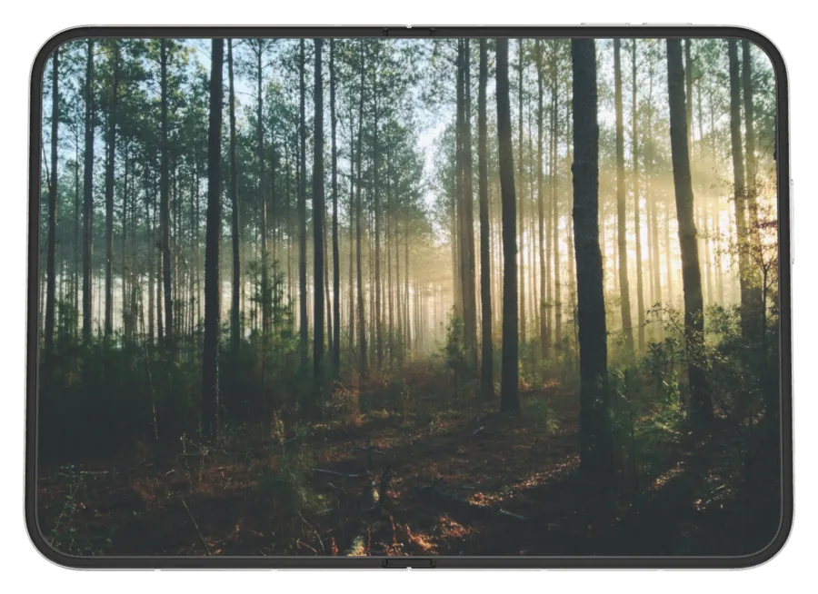 Dark Forest shown on iPhone Duo