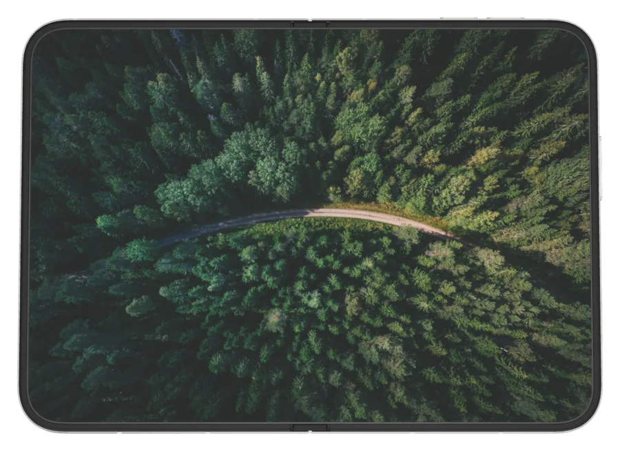 Dark Forest 5 shown on iPhone Duo