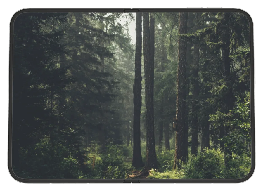 Dark Forest 6 shown on iPhone Duo