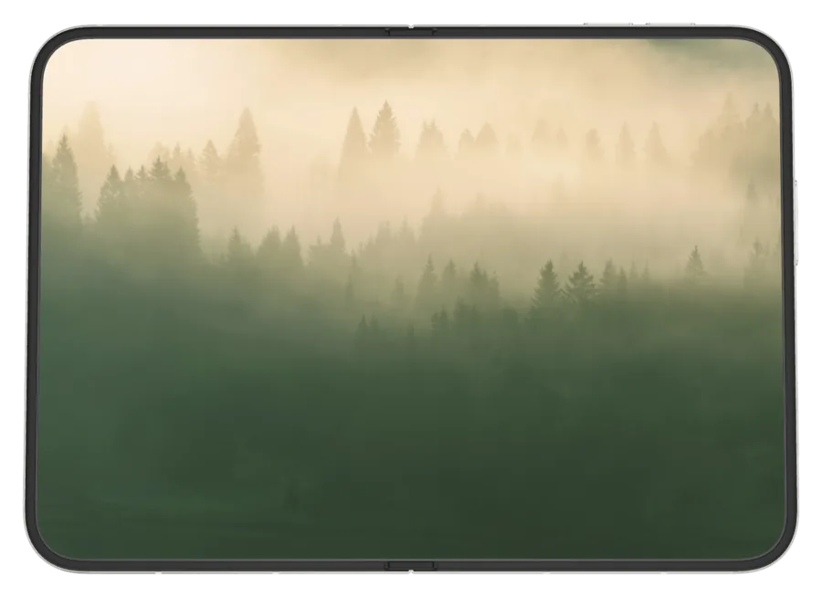 Light Forest 6 shown on iPhone Duo