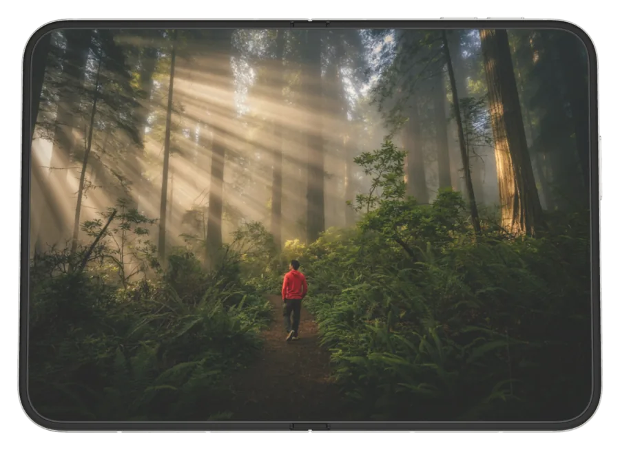 Dark Forest 7 shown on iPhone Duo
