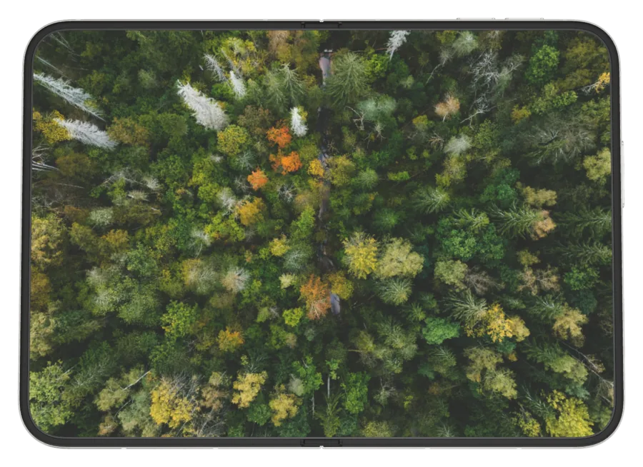 Dark Forest 8 shown on iPhone Duo