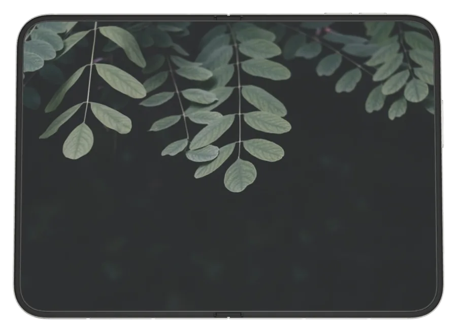 Dark Mac 2 shown on iPhone Duo