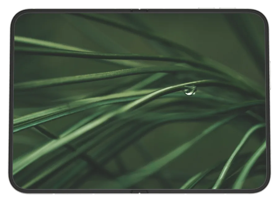 Dark Macro shown on iPhone Duo
