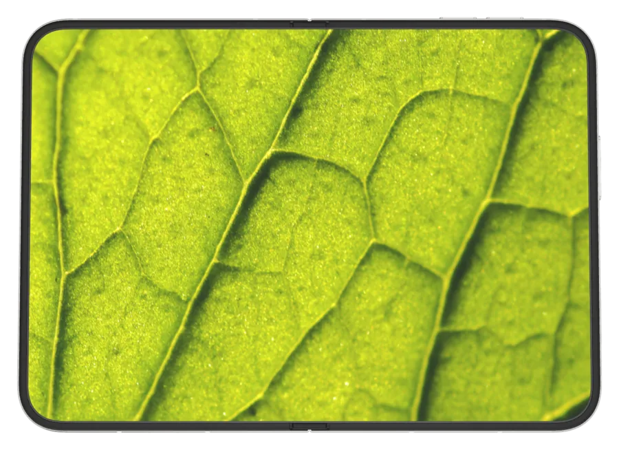 Light Macro 3 shown on iPhone Duo