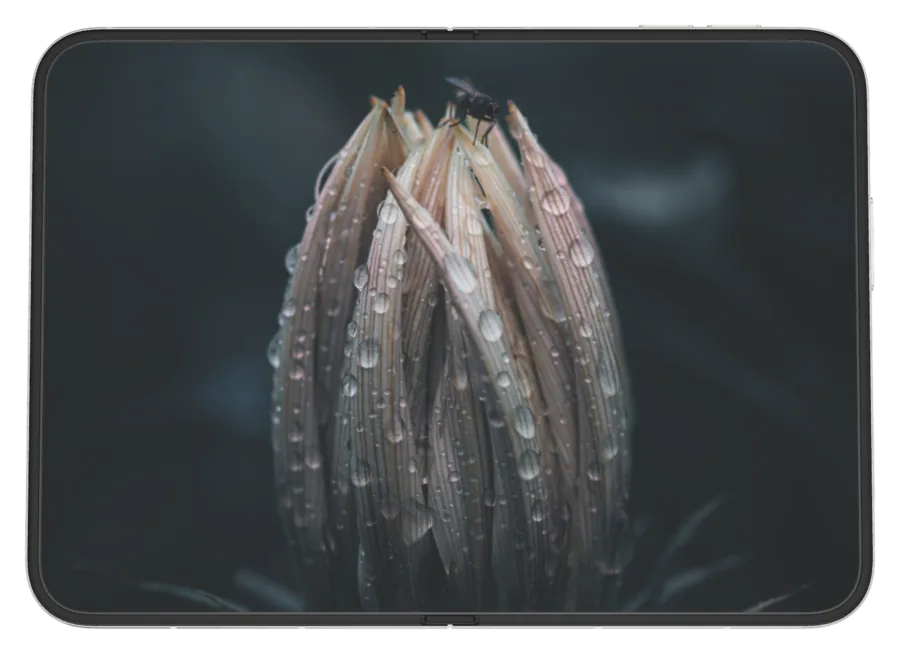 Dark Macro 7 shown on iPhone Duo