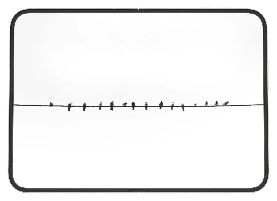 Light Minimal 3 shown on iPhone Duo